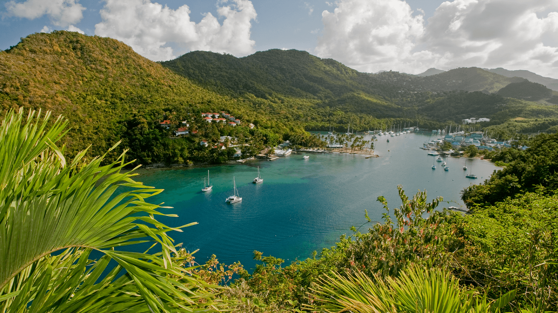 marigot_bay_in_st_lucia